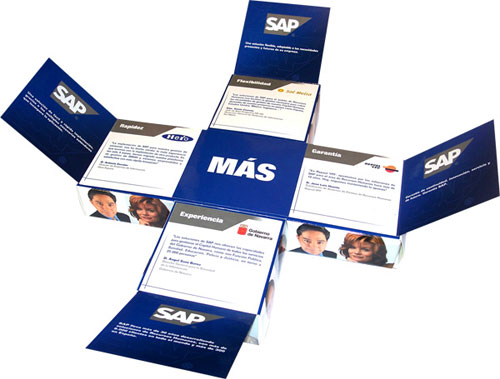 sap caja mas1